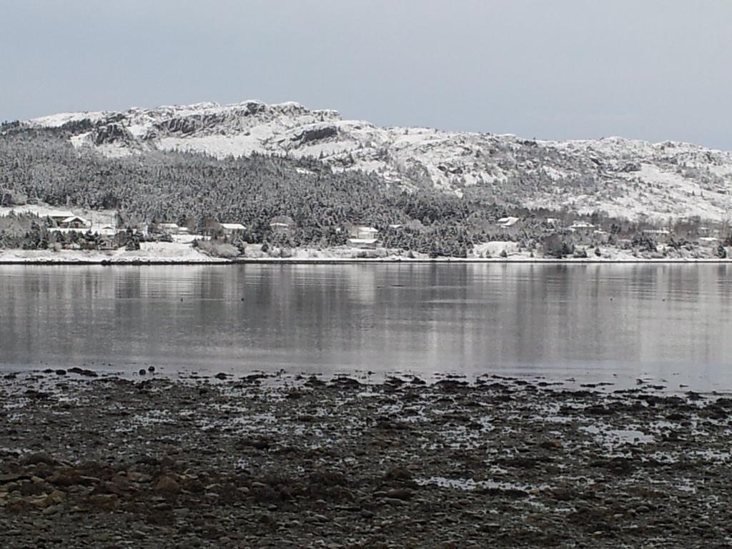 The Spaniards Room Heritage Home Spaniards Bay Luaran gambar